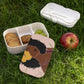 self care gift box,Black Girl Magic Bento Lunch Box,Lunch box, bento box for adults, bento, Black Owned Shops, African American Grandma gift